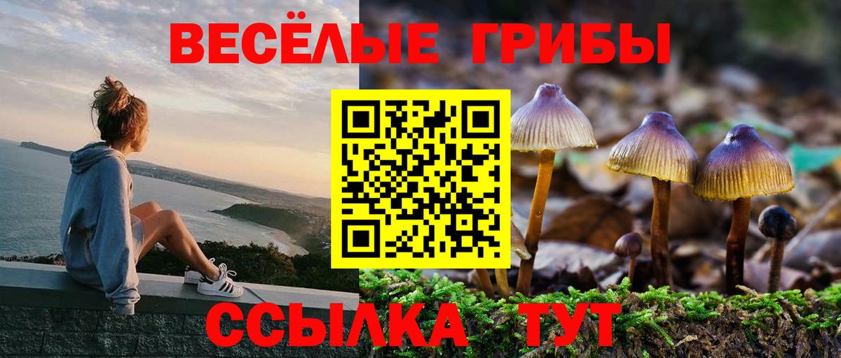 Галлюциногенные грибы мухоморы  Галлюциногенные грибы MAGIC MUSHROOMS  Кстово  Вход с VPN 