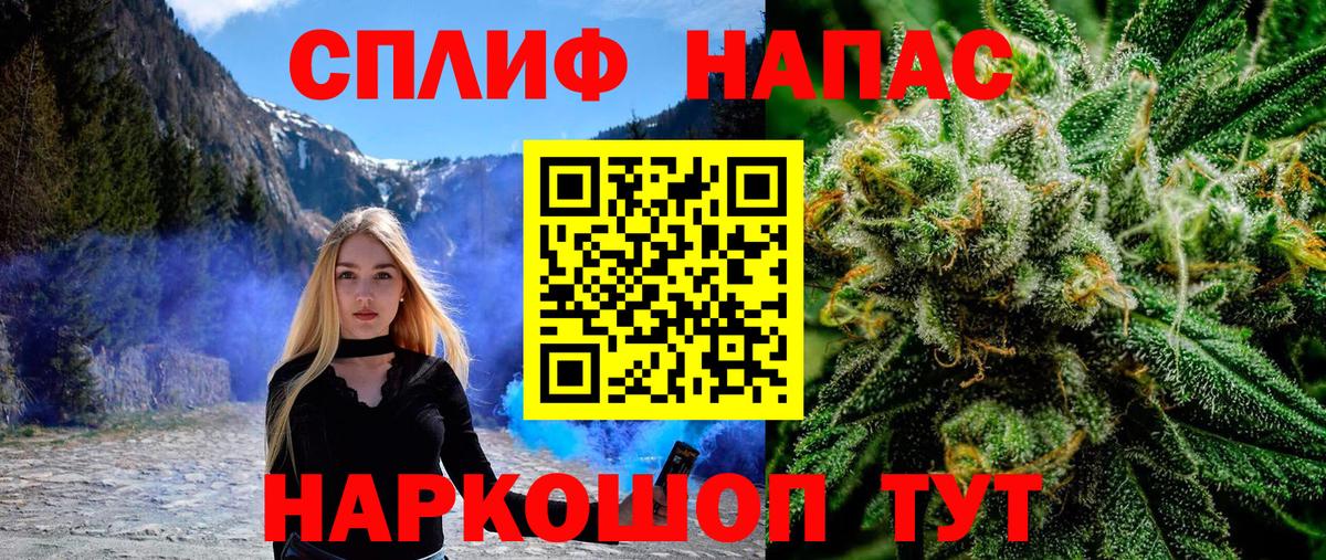 Канабис планчик Кстово