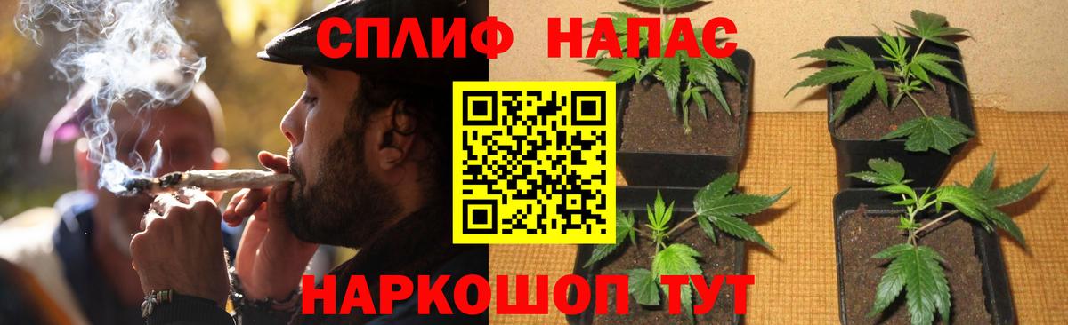 Кстово  Марихуана план  Марихуана тримм  Вход с VPN  МАРИХУАНА SATIVA & INDICA 